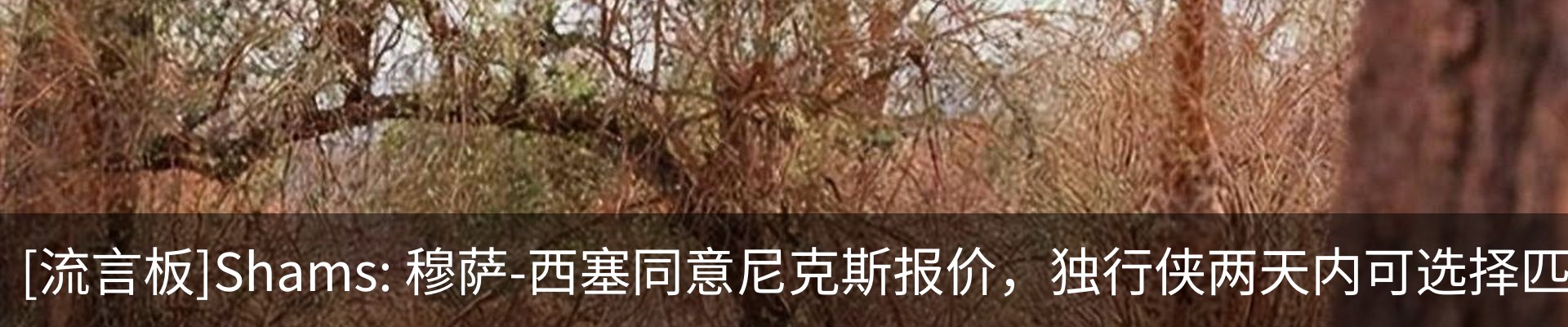 最新动态